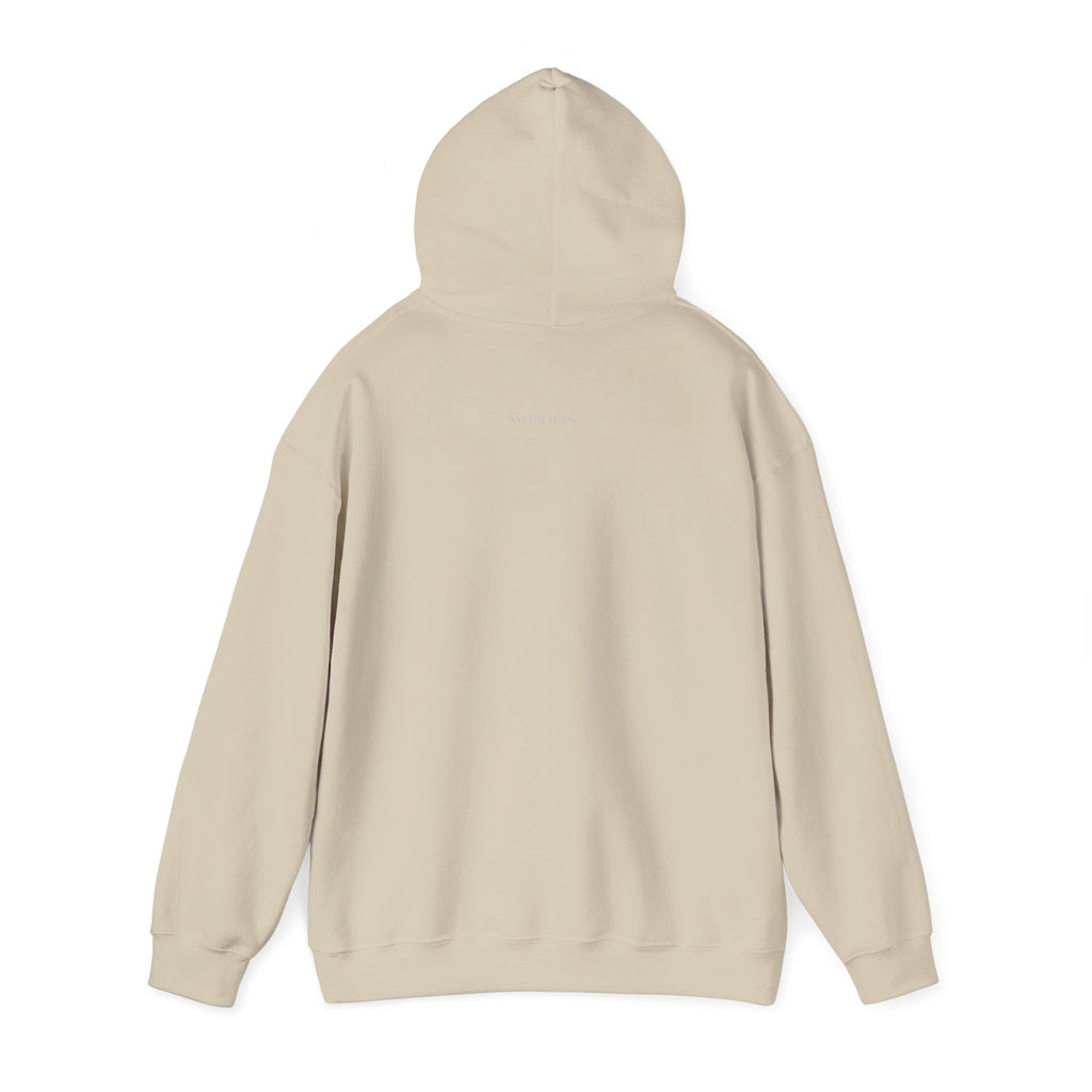 Discipline > Motivation Hoodie with front and back print | Multiple Colors